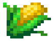Corn_(FoMT)